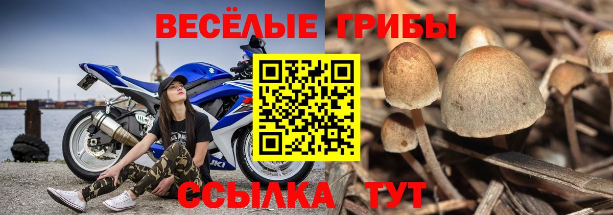 Казань  Псилоцибиновые грибы ЛСД  Псилоцибиновые грибы GOLDEN TEACHER  Вход с VPN 