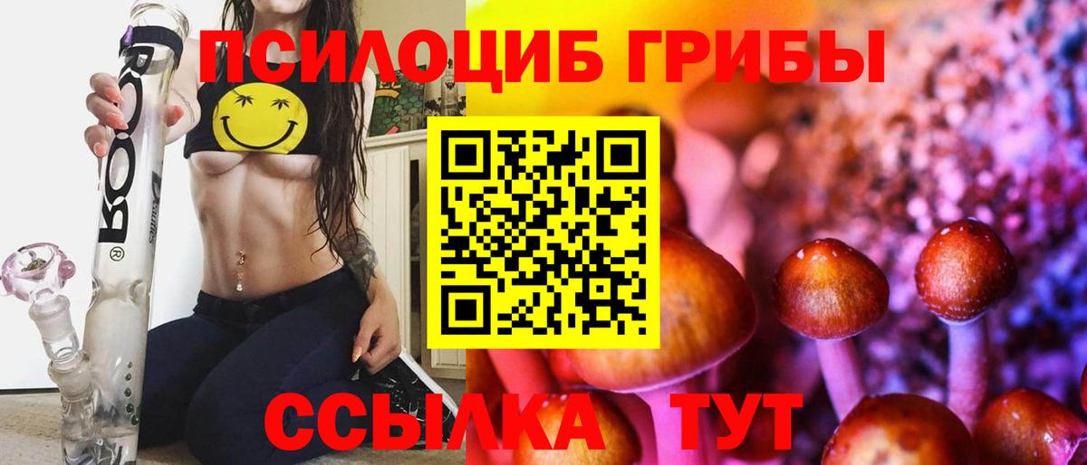 Галлюциногенные грибы Cubensis Казань